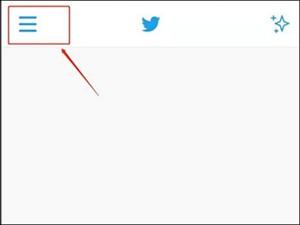 twitter正版