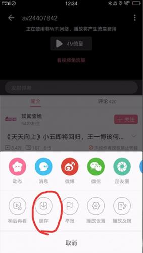 哔哩哔哩最新版