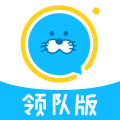 进圈领队版下载