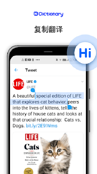 hi translate