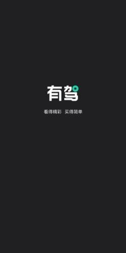 有驾汽车网