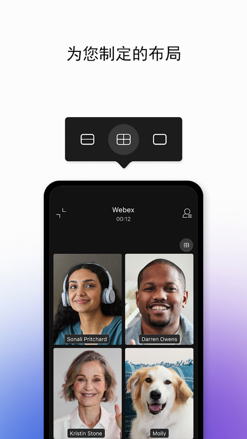 WebEx