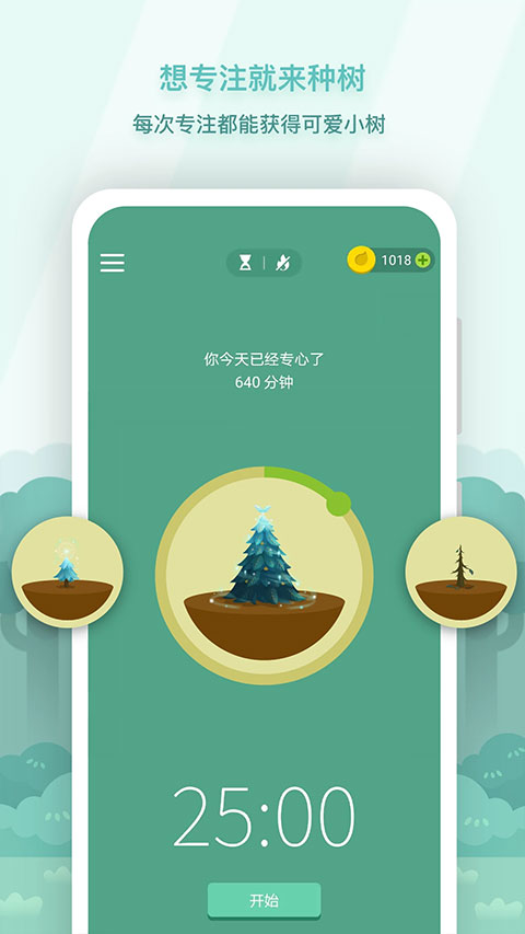 专注森林