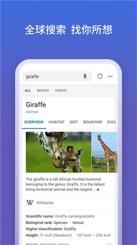 Microsoft Bing