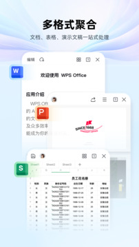 wps手机版