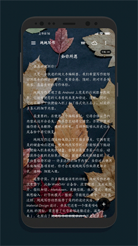 纯纯写作高级版