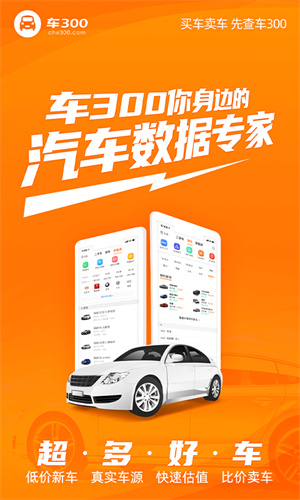 车300二手车免费评估
