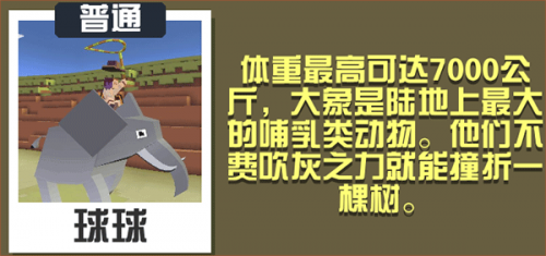疯狂动物园安装包