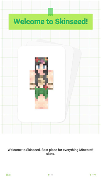 skinseed安装包