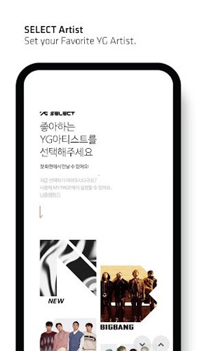 YG SELECT