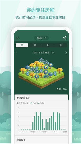 forest