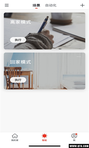 小沃在家