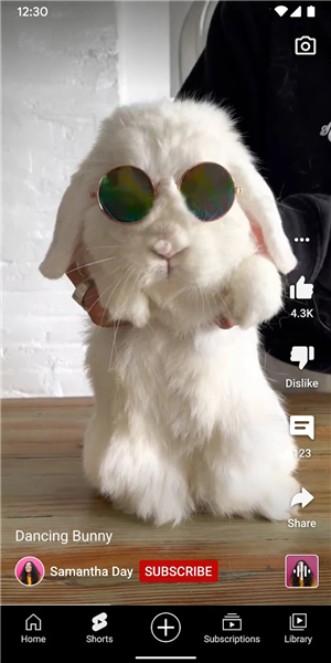 youtube正版app