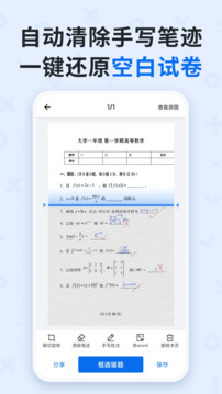 蜜蜂试卷正版