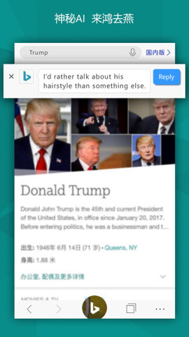 BING搜索国内版