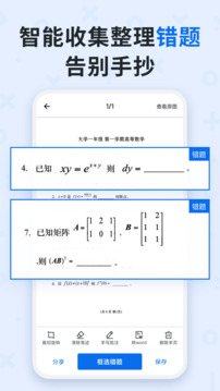 蜜蜂试卷正版