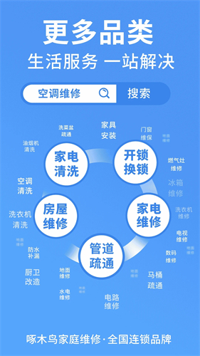 啄木鸟维修