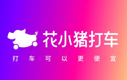 花小猪