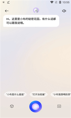 小布小布