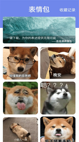 wifi连连通