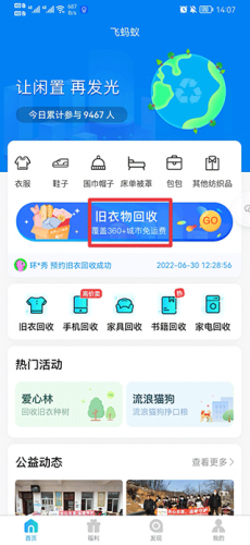 飞蚂蚁