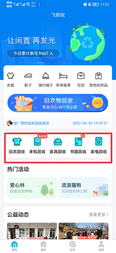 飞蚂蚁