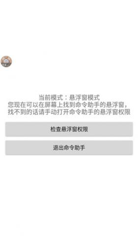 命令助手