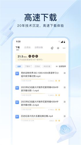 迅雷铂金版