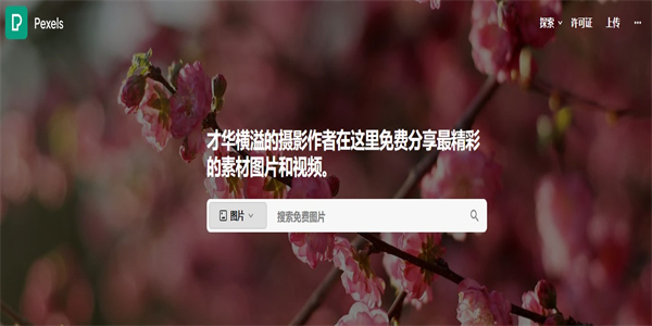 Pexels移动版