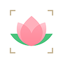 识花下载