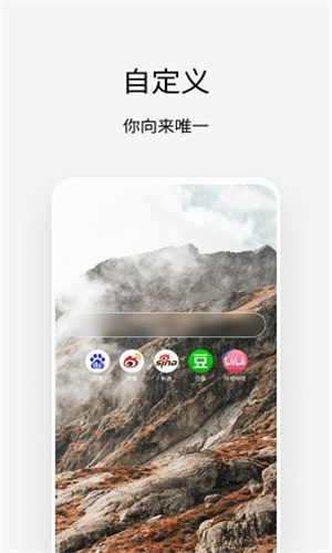 via浏览器安装包
