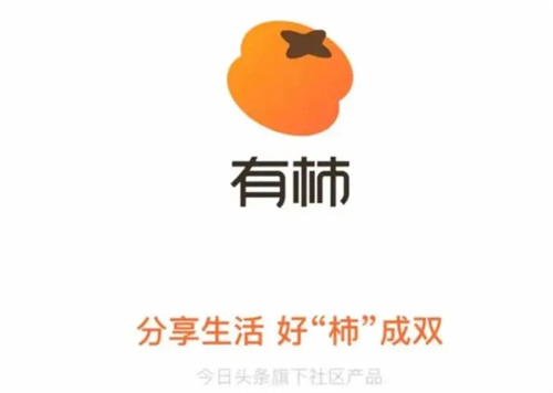 有柿
