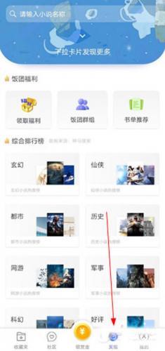饭团看书pro