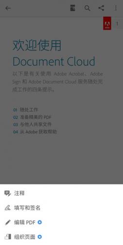 adobe reader