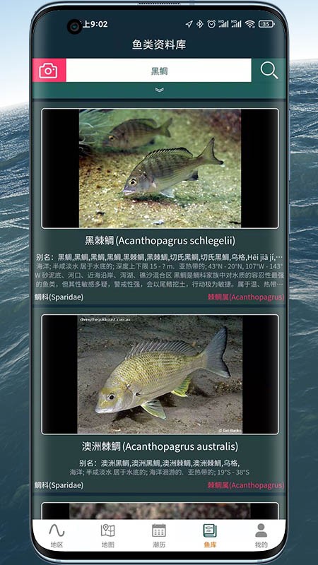 潮汐表精灵app