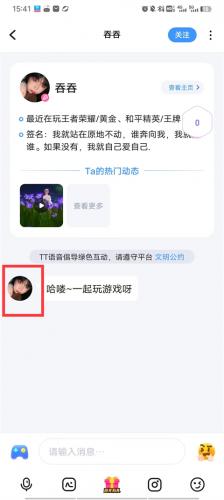 TT语音聊天
