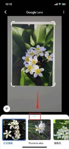 Google Lens