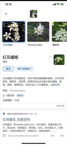 Google Lens