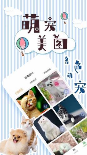 人猫翻译交流器免费版