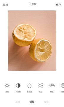 foodie