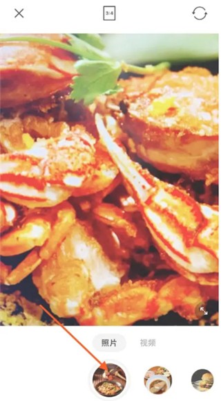 foodie