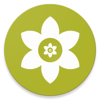 安装狮图标
