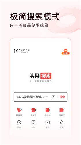 头条搜索极速版