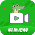 鳄鱼视频图标