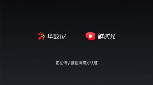 西瓜视频tv版