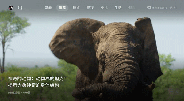 西瓜视频tv版