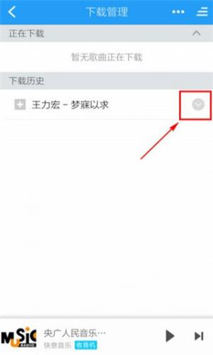 酷狗铃声安装包