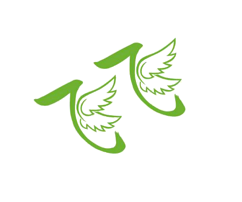 飞飞影院下载