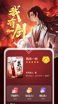 纵横中文小说网