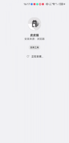 皮皮猫